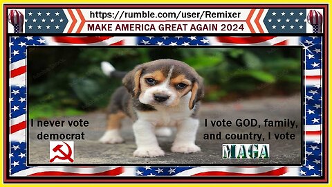 I never vote democrat