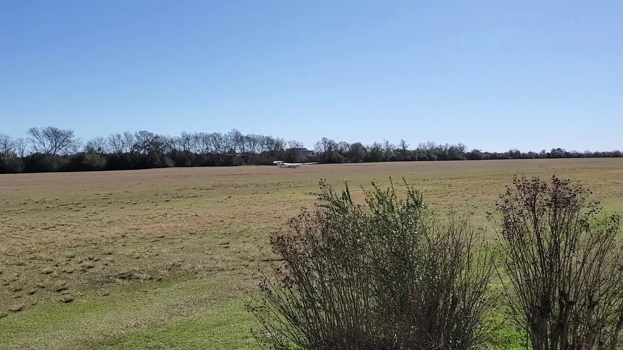 Day of soaring II