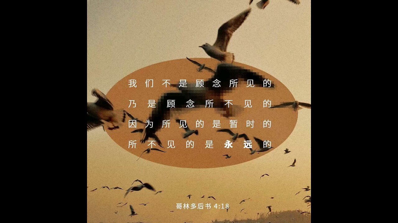 分享今日经文。 愿主与我们同在。阿门