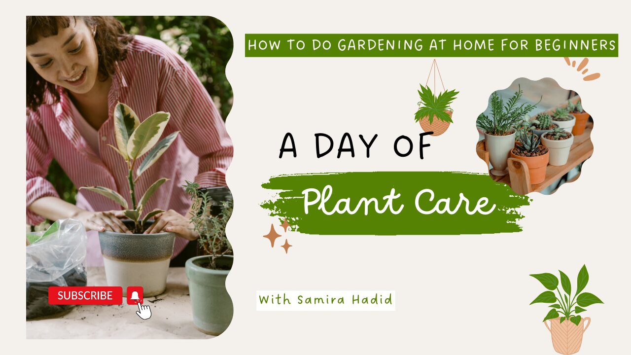 how to do gardening at home for beginners