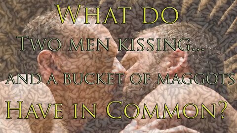 What do two men kissing and a bucket of maggots have in common?