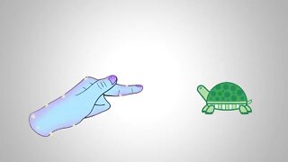 Turtle Boop