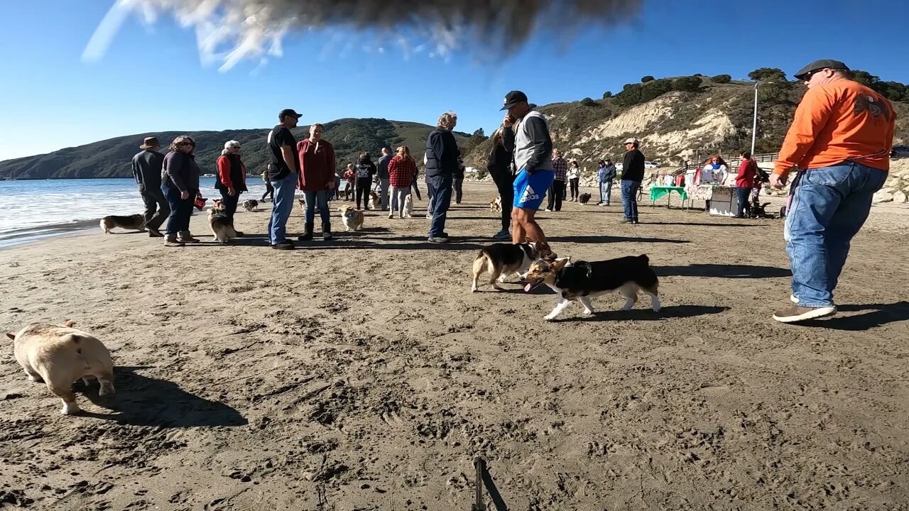 Merry Corgmas!!