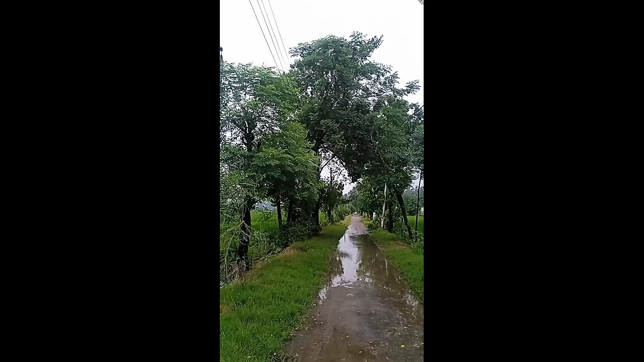 punjab