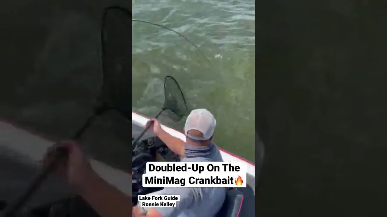 Two Bass Caught On One Crankbait #6thsensefishing #fishing #bassfishing #outdoors #crankbait