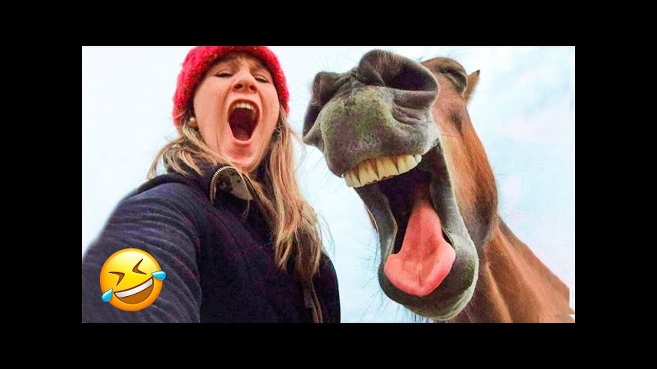 The Best Funny Videos Of Cats And Dogs 🐶😹 - Funny Animals Compilation 😂