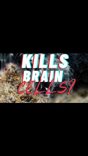 Does Marijuana Kill Brain Cells? 🧠 #shorts#marijuanaprohibition #doesprohibitionwork