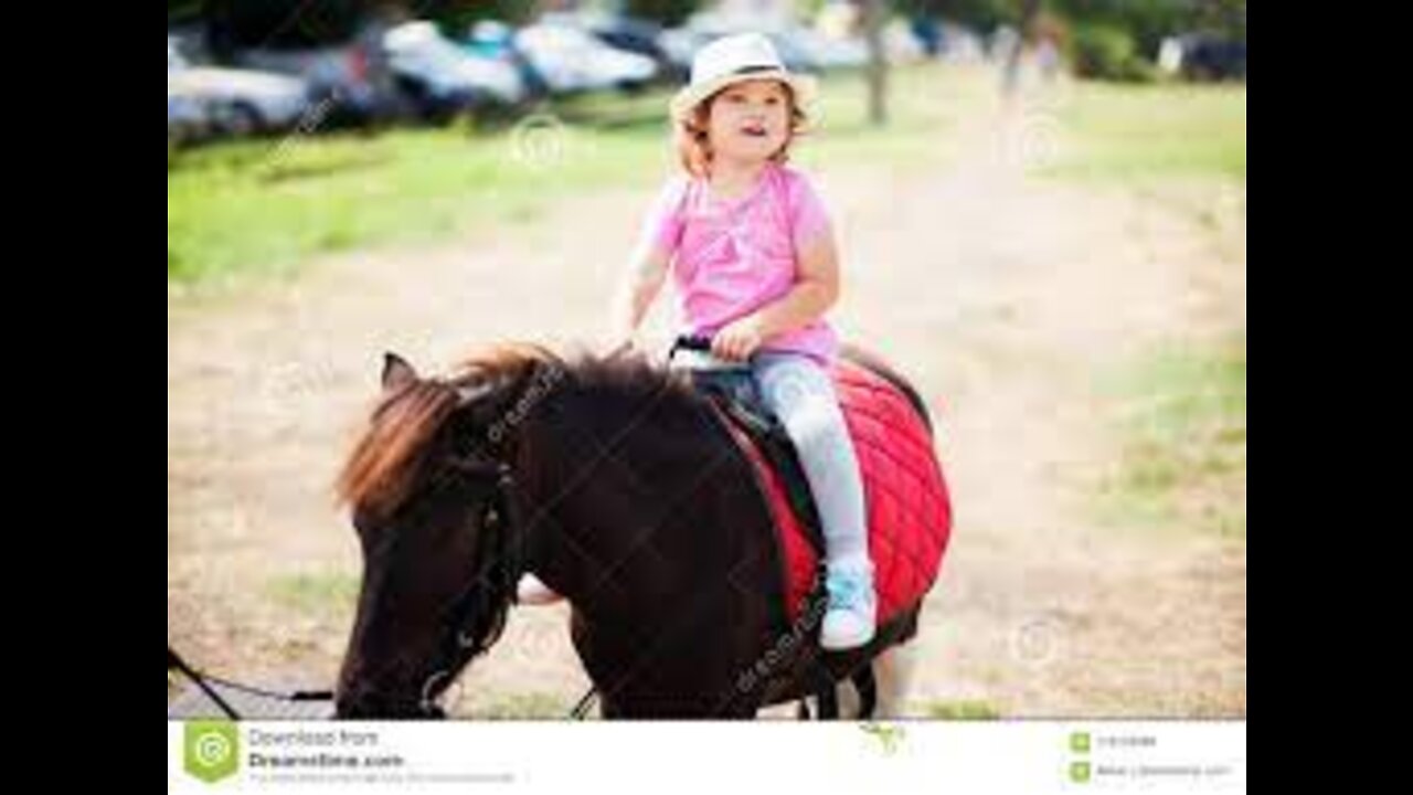 The cutest little toddler horse rider and her pony