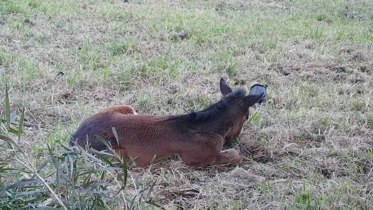 20180710_160657.mp4