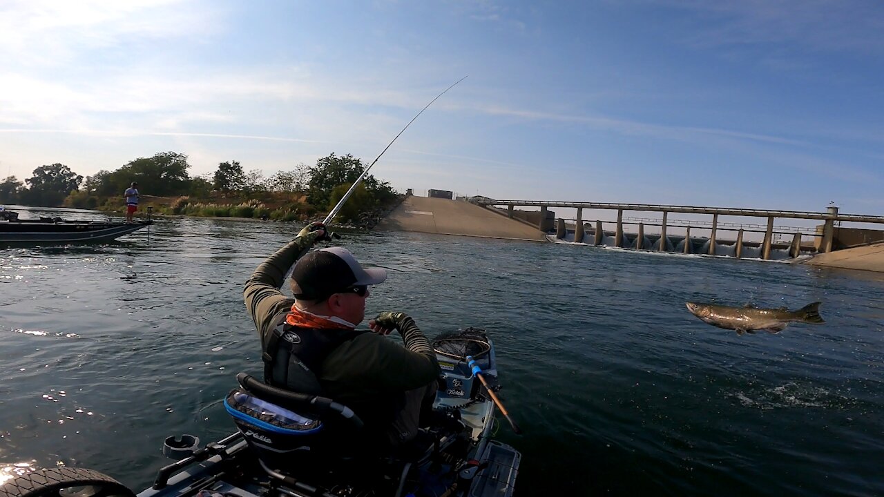 Huge Salmon Jumps Into The Kayak!!