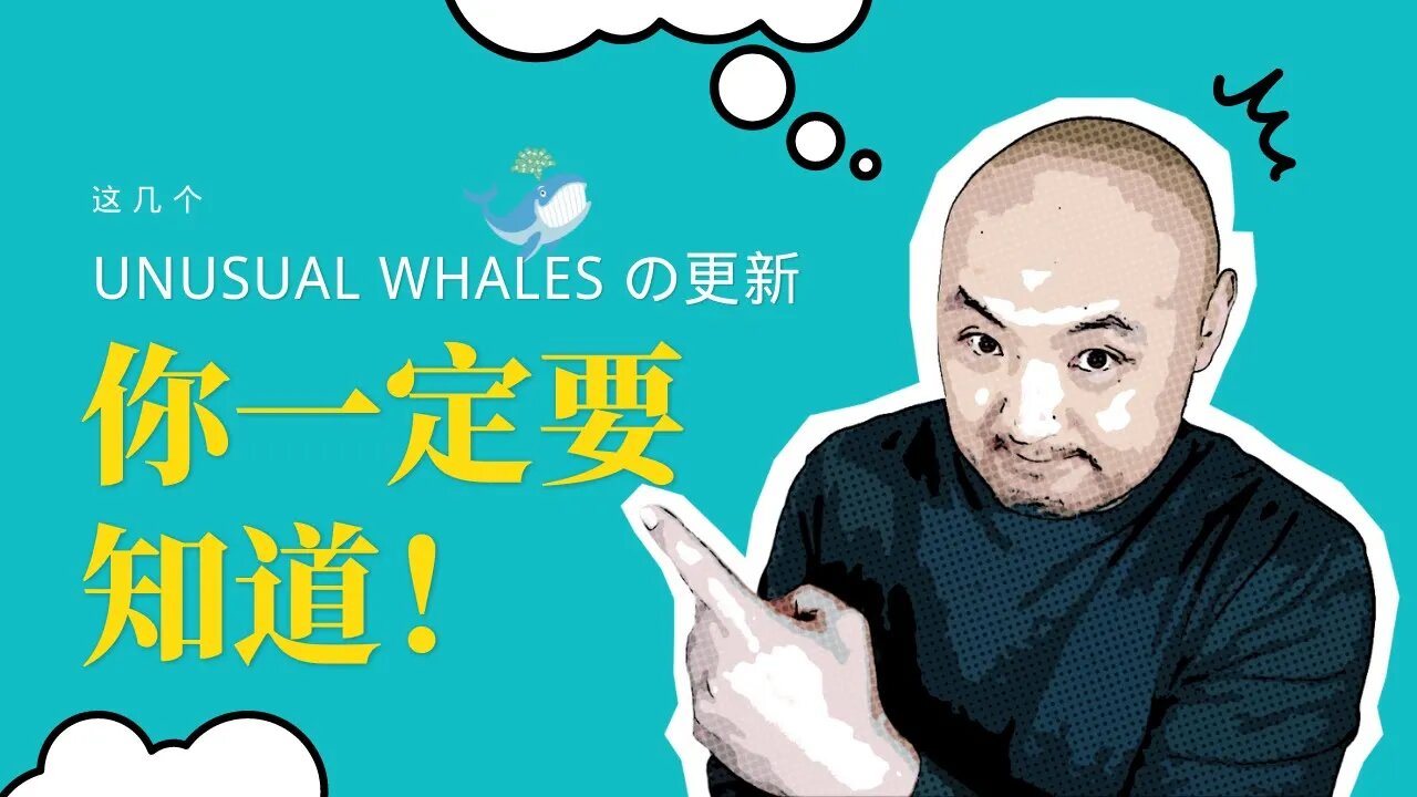 🚢你一定要懂的Unusual Whales更新和期权交易流过滤 | COPE, Flow Ratio, Ticker Flow怎么用？