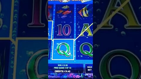 Dolphins Pearl deluxe