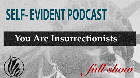 You Are an Insurrectionist