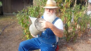 Vintage Watering Can Repair, Three Years Later