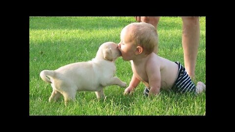 Laughing baby playing with dog and water