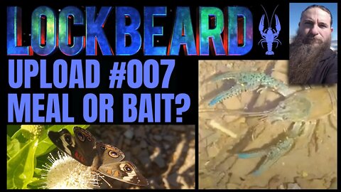 UPLOAD #007. Meal Or Bait?