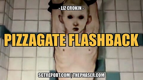 PIZZAGATE FLASHBACK -- LIZ CROKIN