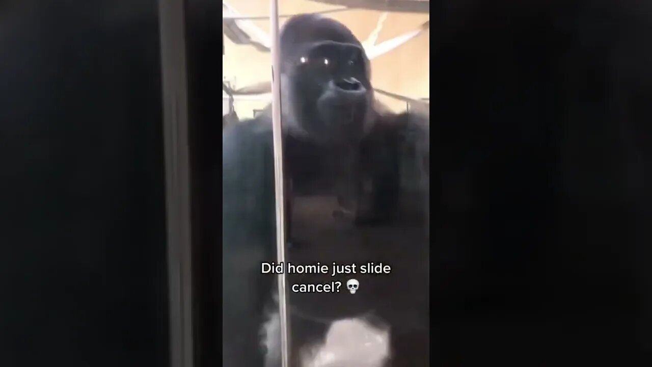 Bros too smooth 🤯🤯🤯#shorts #mlbcentral #funnyvideo #gorilla