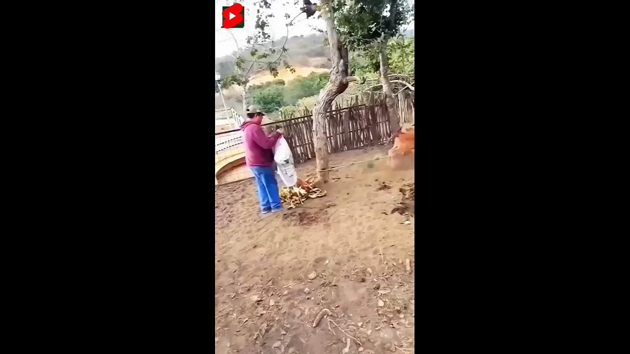 He can't do next 🙄