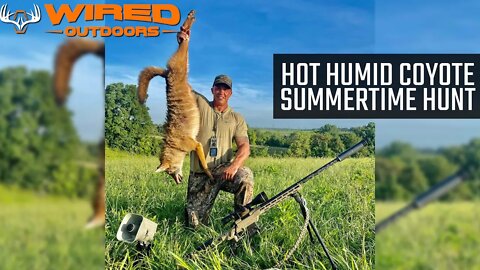 Hot Humid Coyote Summertime Hunt