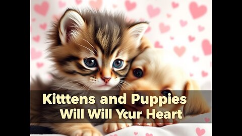 Kittens and Puppies That Will Melt Your Heart!"