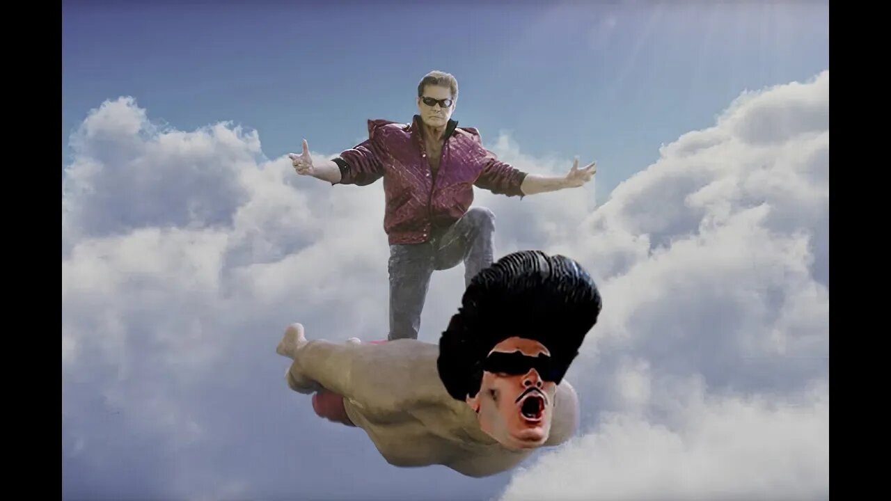 Don't Hassle the Hoff