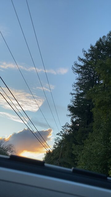 ANYONE EVER SEE THIS KINDA THING?