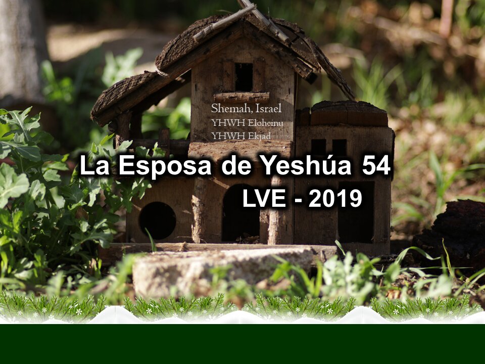 La Esposa de Yeshúa 54 - YHWH Ekjad 33 - Juan 1