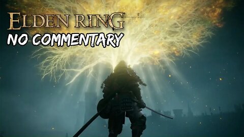 Part 14 (Adam View) // [No Commentary] Elden Ring - Xbox One X Gameplay