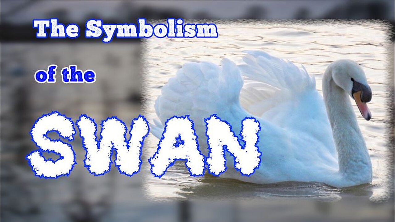 The Symbolism of the Swan