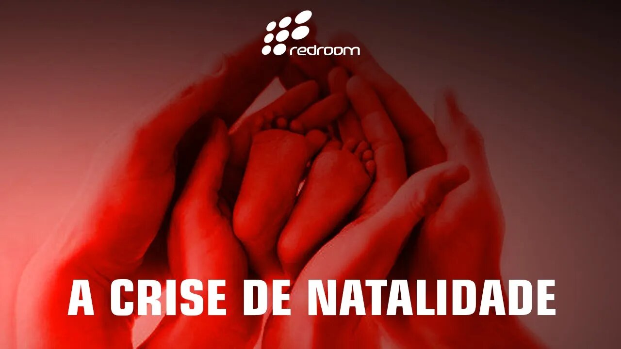 A CRISE DE NATALIDADE (RACCOONING RACCOON)