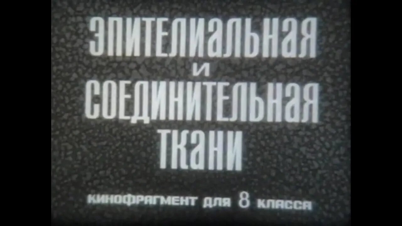 Эпителиальная и соединительная ткани. Кинофрагмент для 8 класса.