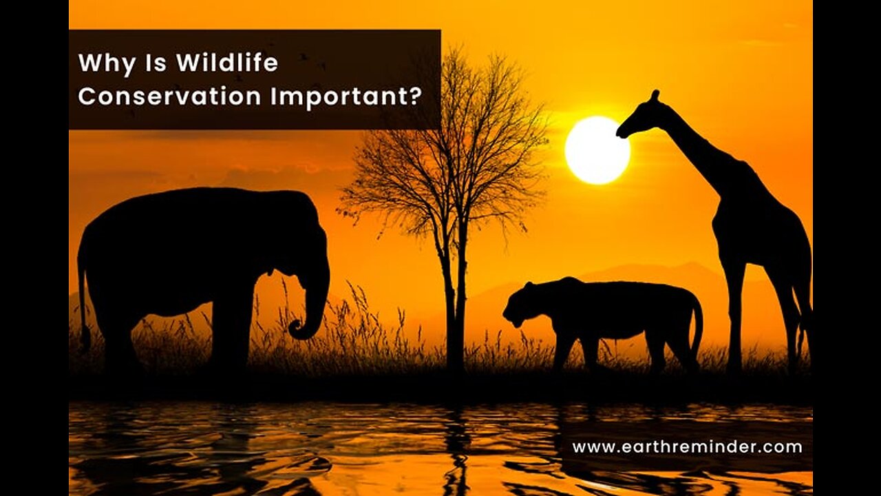 "The Benefits of Hunting on Wildlife Conservation Efforts in America" Fundamentals Explained