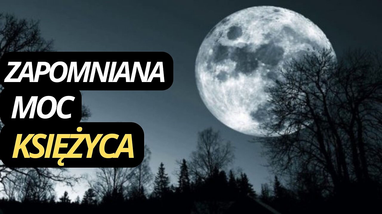 047 | Jak księzyć wpływa na nasze ŻYCIE? Sekret DREWNA KSIĘŻYCOWEGO | NN