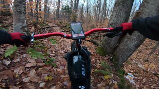 Early Winter Leaf Surfin at Valley Spur ( FATBACK RHINO )