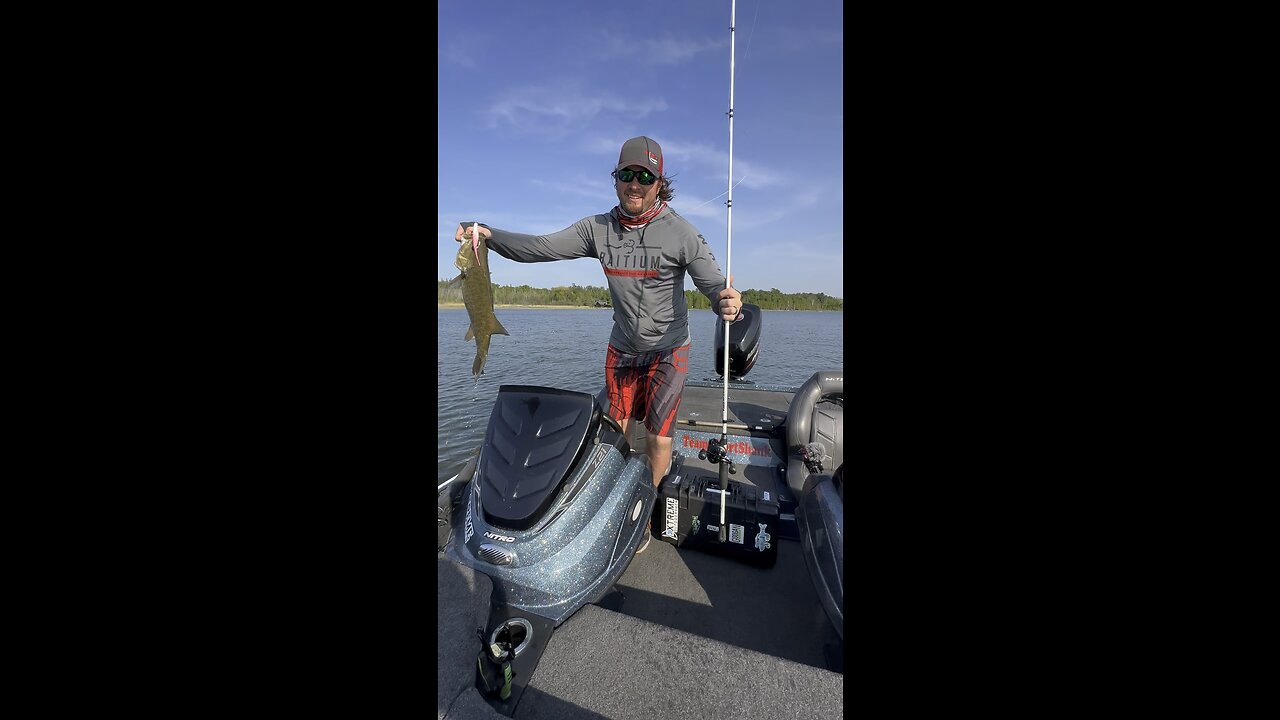 Big smallmouth love shallow grass