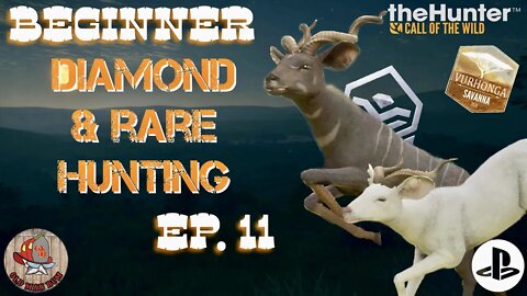 Beginner Diamond & Rare Hunting Ep. 11 theHunter Call of the Wild