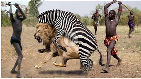 10 ጠንካራ እና አስገራሚ የዱር እንስሳት 10 strongest wild animals