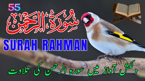 Beautiful Recitation of Surah Al Rahman | Quran Chapter 55 | Surah 55 Al-Rahman