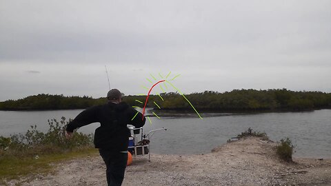 It was a Slow Day Until this Happened! No Fish Today, But this Caught Me Off Guard!