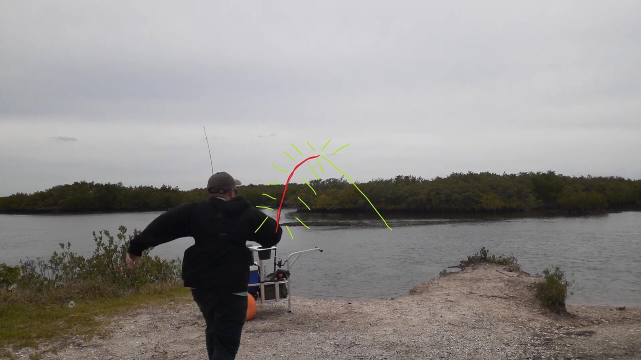 It was a Slow Day Until this Happened! No Fish Today, But this Caught Me Off Guard!