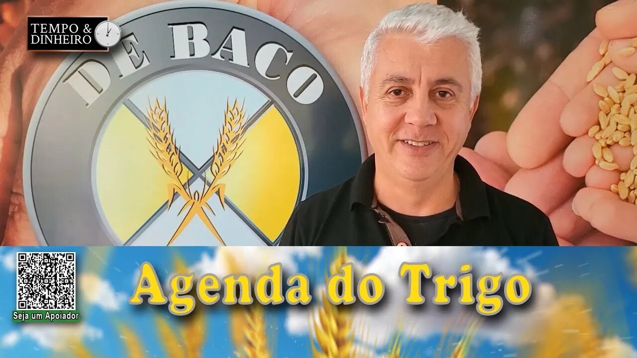 As entregas dos contratos, possibilidade da liberação dos estoques Ucranianos...