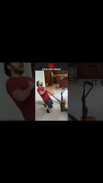 comprou o cachorro errado