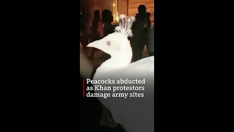 Imran Khan supporters storm army compounds in Pakistan