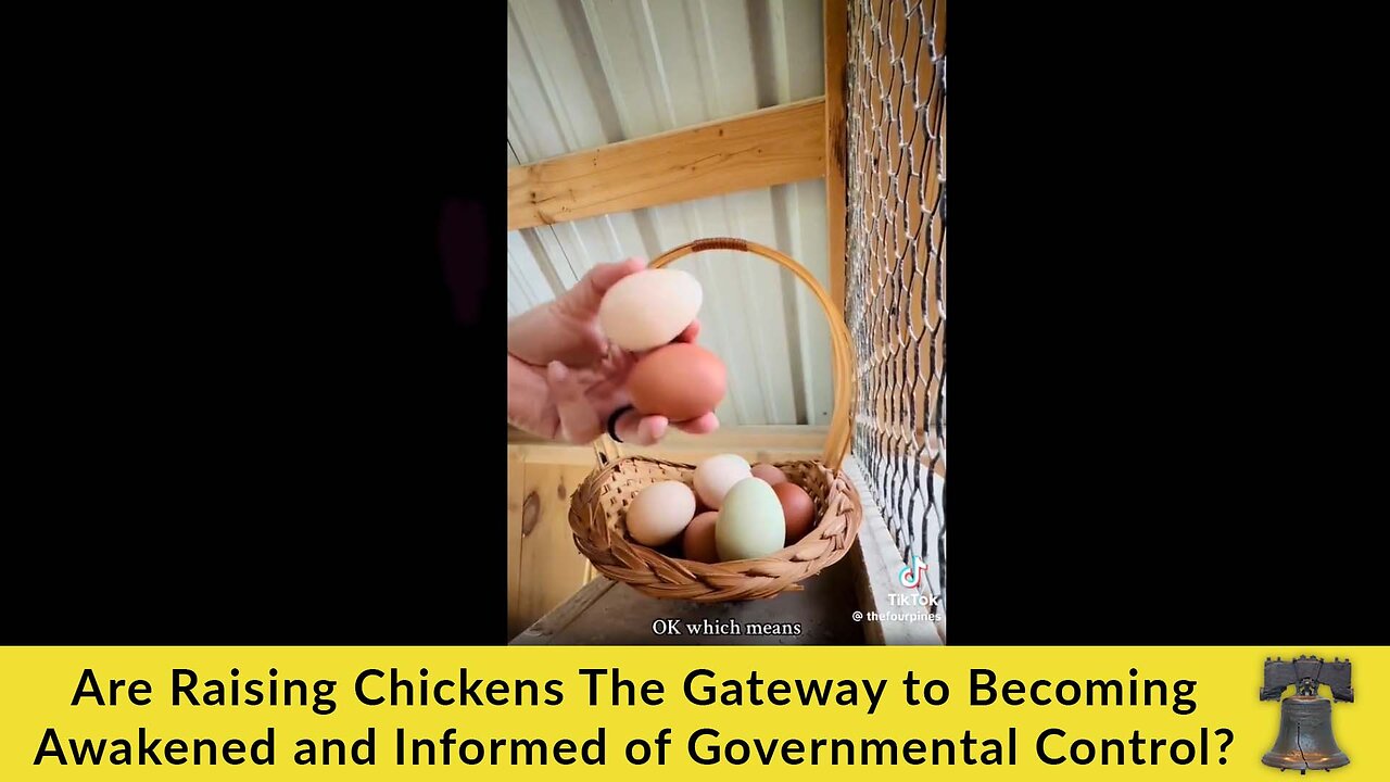 Is Raising Chickens the Gateway to Becoming Awakened and Informed of Governmental Control?