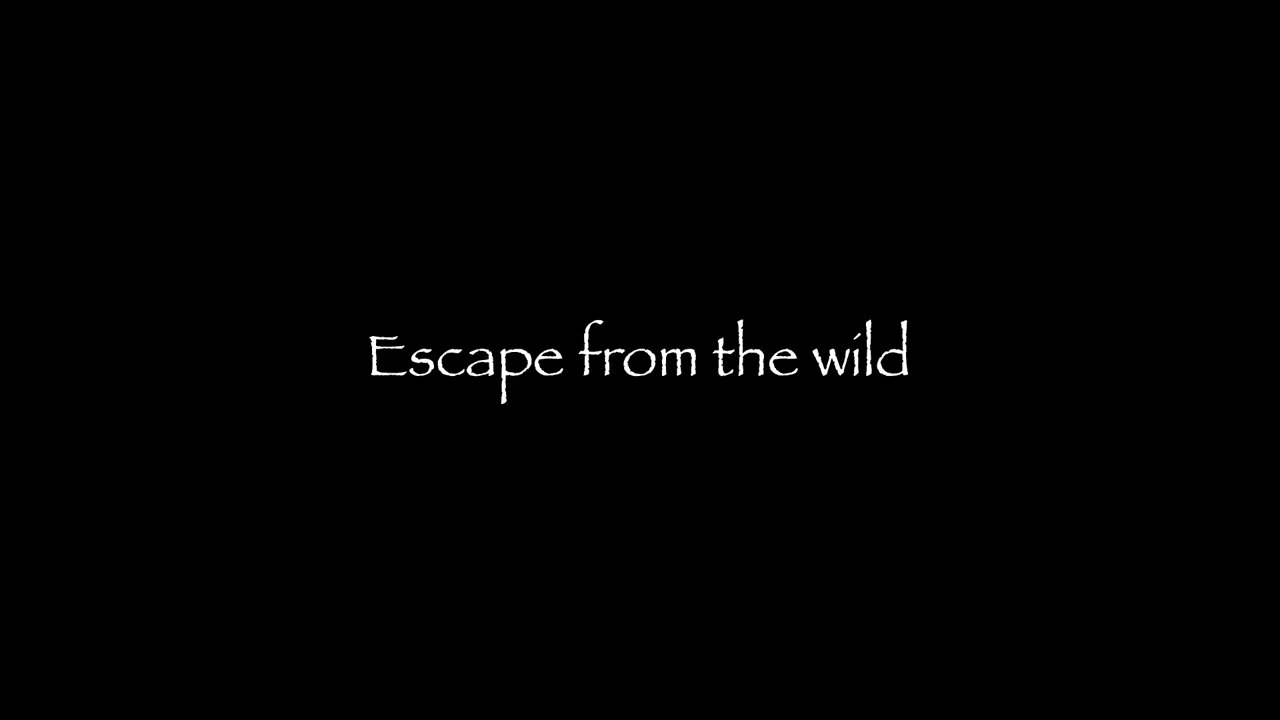 (Short Film) ESCAPE FROM THE WILD