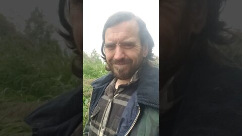 Hollywood Audience Is Whom?