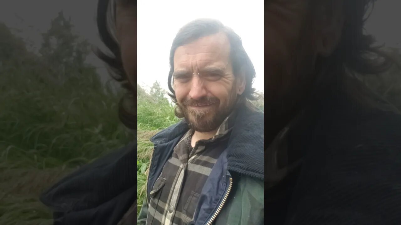 Hollywood Audience Is Whom?