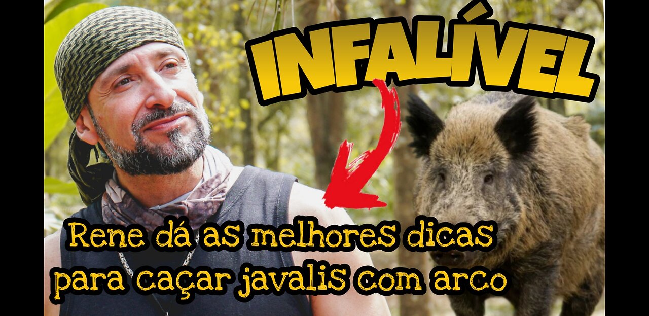 Como Caçar Javalis Com Arco