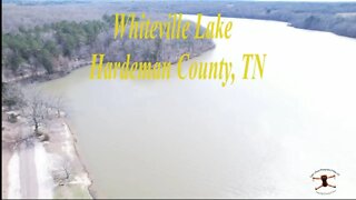 Whiteville Lake - Hardeman County, TN